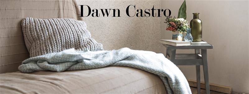 Dawn Castro Banner